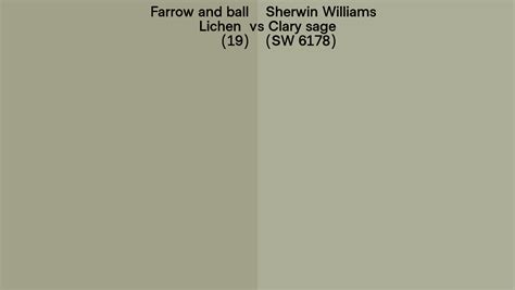 Farrow And Ball Lichen Vs Sherwin Williams Clary Sage Sw