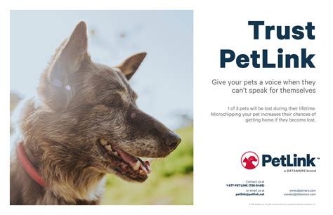 Update Your Pets Chip Information Petlink