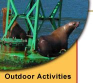 alaska wildlife viewing tours & adventures