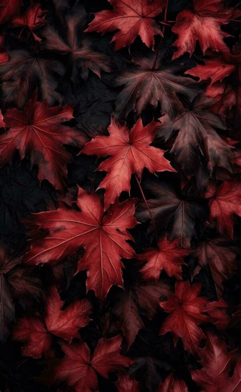 Autumn falling leaves background 29562301 Stock Photo at Vecteezy