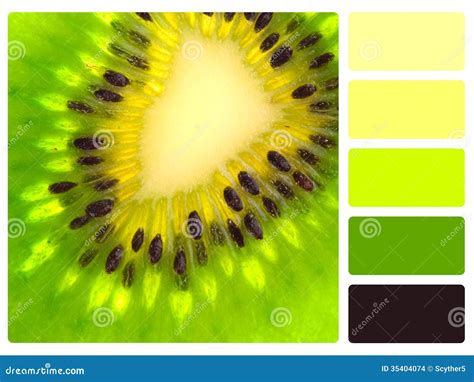 PANTONE 2285 C Color Palettes And Color Scheme Combinations, 48% OFF