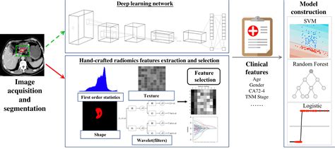 Frontiers Artificial Intelligence In The Imaging Of Gastric Cancer