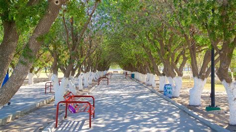 Los Parques Centrales Permiten Perros