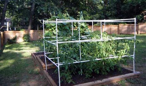 53 Tomato Trellis Designs Completely Free Artofit