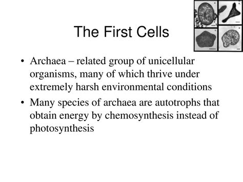 History Of Life Chapter Ppt Download