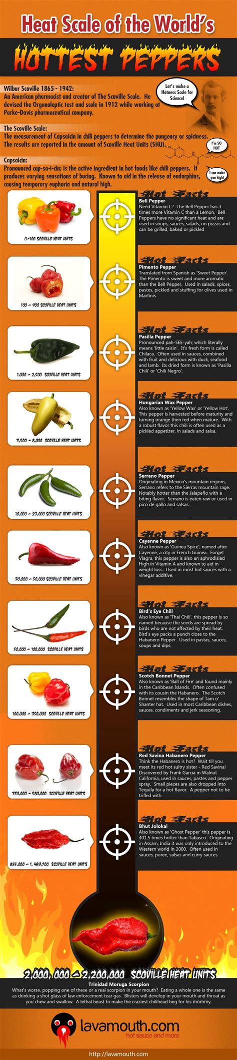 Scoville Heat Scale Chart Scoville Units Laminated Print 24x36 Spicy