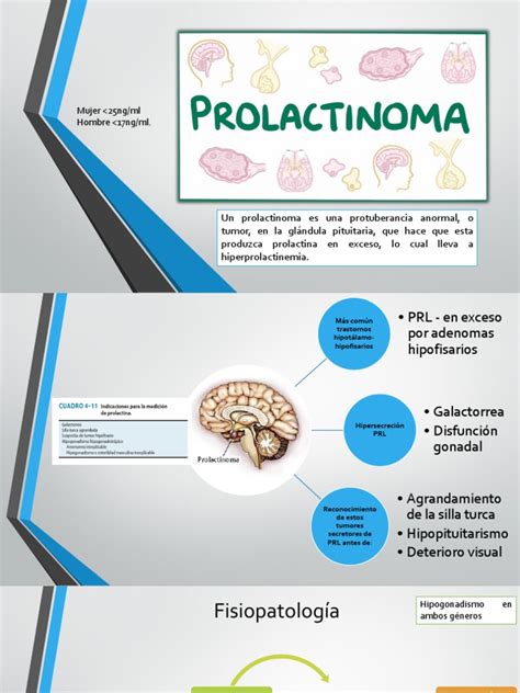 Prolactinoma Pdf Hormona Luteinizante Sistema Reproductivo