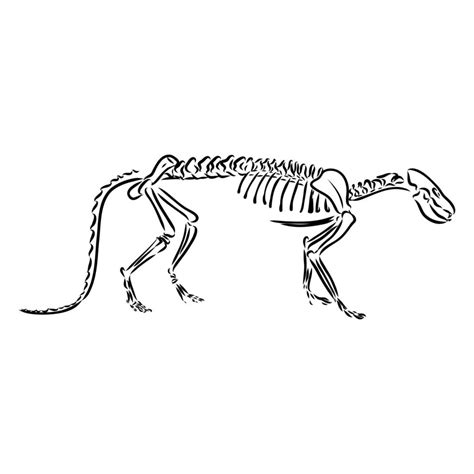 dinosaur skeleton vector sketch 17050232 Vector Art at Vecteezy