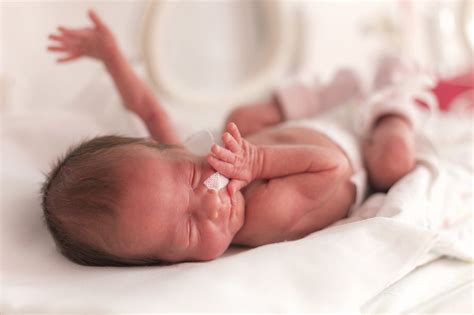 How Do Those Born Preterm At Very Low Birth Weight Fare As Adults