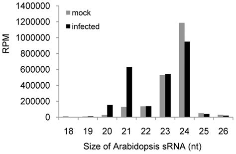 Size Distribution Of Arabidopsis Srnas In Ormv Infected And