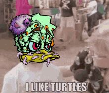 I Like Turtles GIFs | Tenor