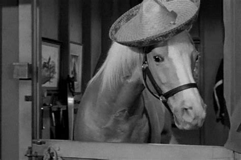 Mister Ed 1961