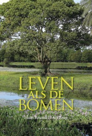 30 ideeën over Bomen en Bijbel Trees and bible bijbel boom wijsheid