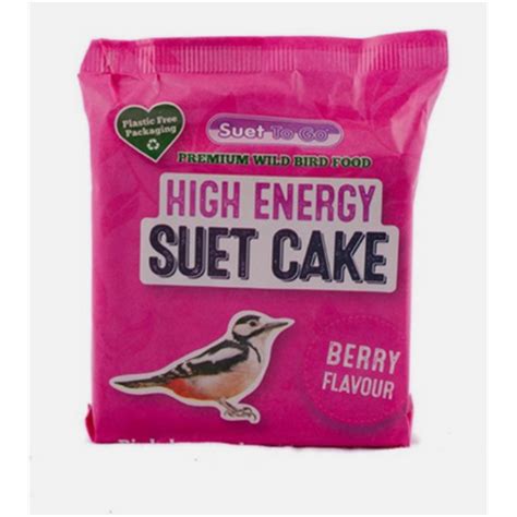 berry suet suet block pets paradise