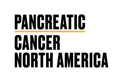 C Ncer De P Ncreas Am Rica Del Norte World Pancreatic Cancer Coalition