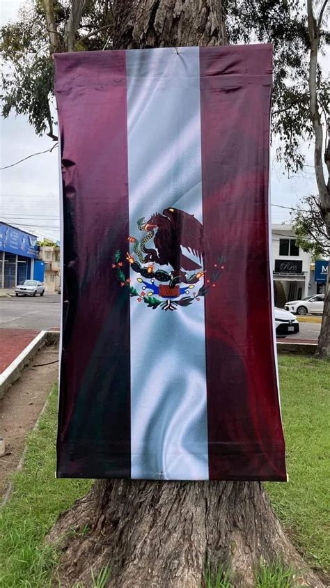 En Nayarit cambian colores de la bandera de México por los de Morena