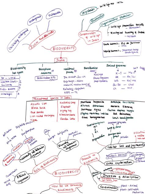 Biodiversity Mind Map | PDF