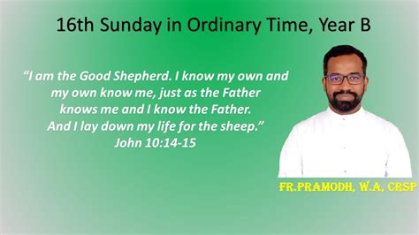 sunday  ordinary time year  sundays homily youtube