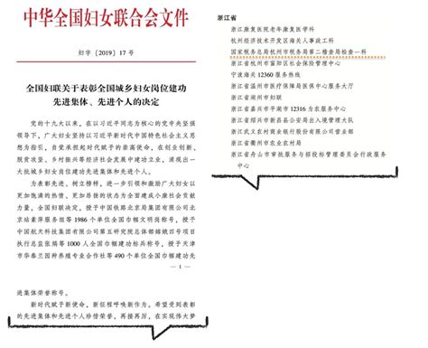 国家税务总局浙江省税务局 巾帼动态 改革开局之年 巾帼华章溢彩