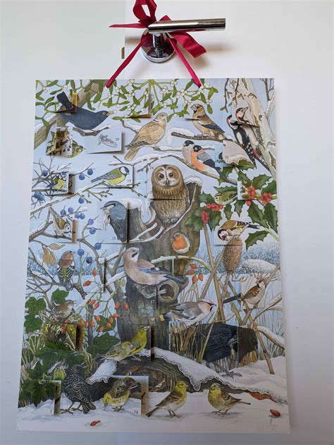 2023 Advent Calendars 11
