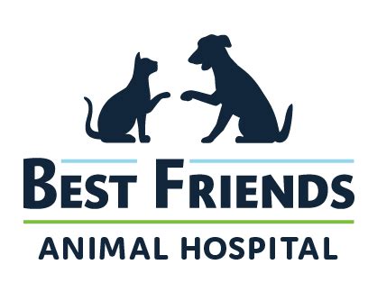 Vet Near Me 91607 - Best Friends Animal Hospital