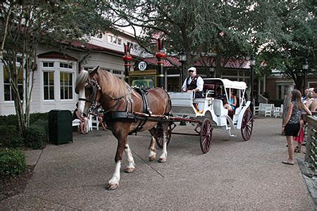 Hidden Treasures of Walt Disney World: Carriage Rides - Doctor Disney