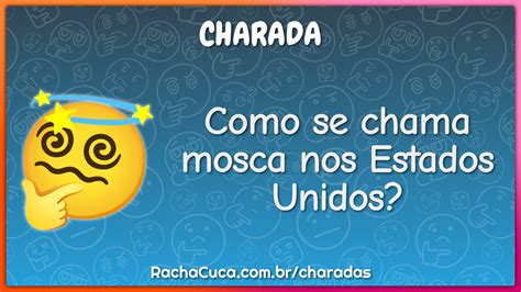 Como Se Chama Mosca Nos Estados Unidos Charada E Resposta Racha Cuca