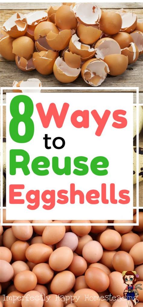 8 Fantastic Ways To Reuse Eggshells The Imperfectly Happy Home Egg