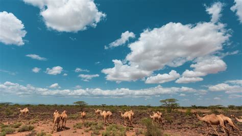 Chalbi desert in Kenya | Kenya Safaris Tours | Kenya Tours