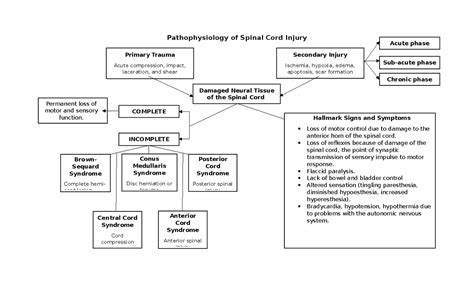 Patho SCI Pathophysiology Of Spinal Cord Injury Concept Map