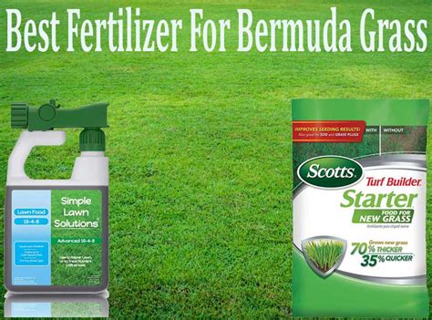 Best Fertilizer For Bermuda Grass - Pro Garden Man - The Gardener's ...