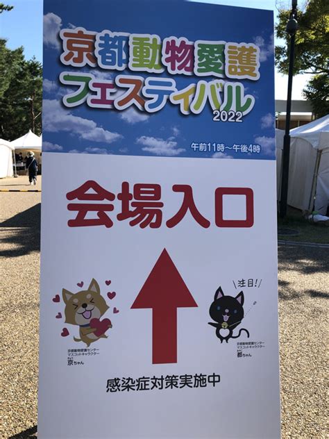 京都動物愛護フェスティバル〜2022年動物愛護週間〜京都市 かたづけねこの手｜汚部屋清掃・ゴミ屋敷掃除・整理収納｜京都・大阪・兵庫・奈良・滋賀