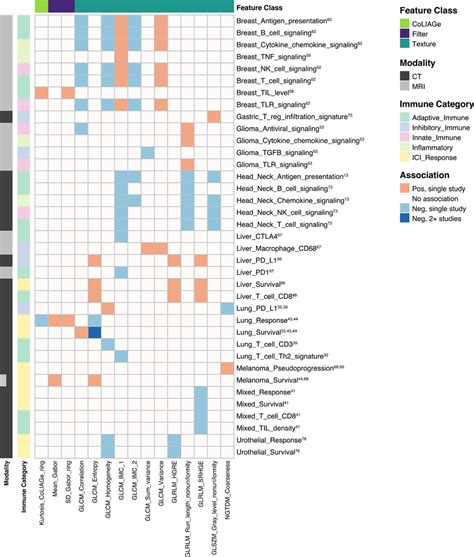 Heatmap Depicting Associations Between Higher Order Radiomic Features Download Scientific