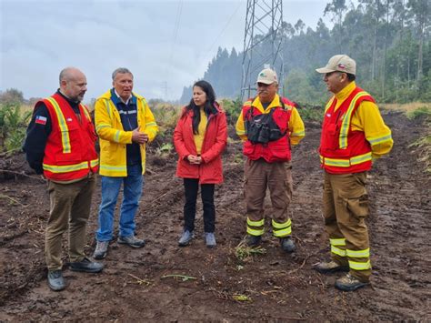 Se mantiene Alerta Amarilla por incendios forestales en la región de