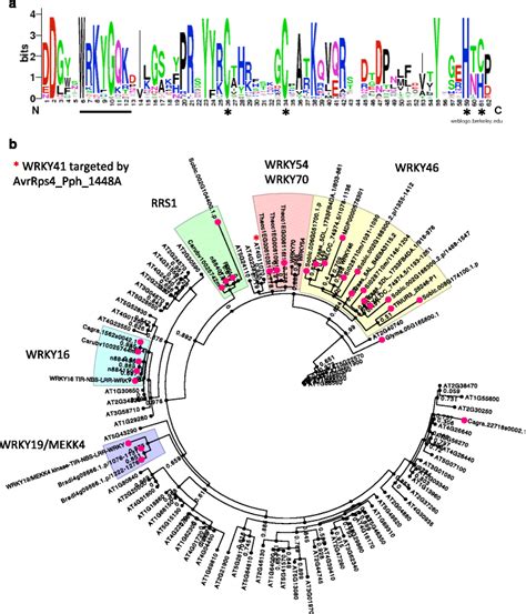 Evolutionary analyses of the WRKY domain in NLR-WRKYs family. a ...