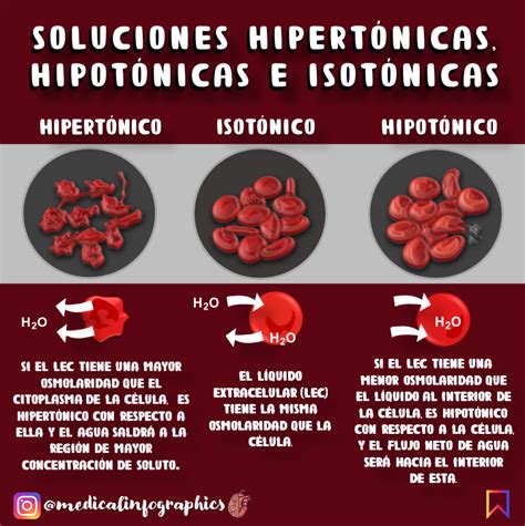 Understanding Hypertonic Hypotonic And Isotonic Solutions