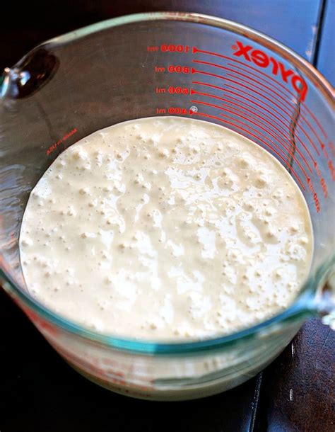 17+ Homemade Sourdough Bread Starter Gif - Sourdough Bread Starter