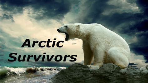 Watch Arctic Survivors | Prime Video