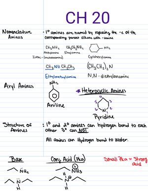 Ochem 2 Exam 3 Chapters 18 And 19 Review CHEM 2245 CH 18 Aldehydes