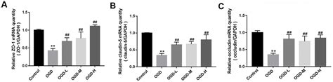 Alisol A Acetate Protects Against Brain Microvascular Endothelial