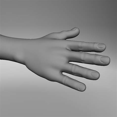 Realistic Human Arm 3d Model 35 Obj Fbx Ma Max Unknown Free3d