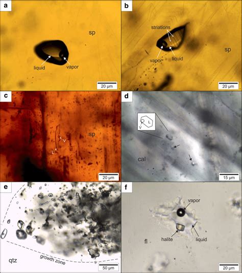 Photomicrographs Of Fluid Inclusions A Primary Two Phase L V