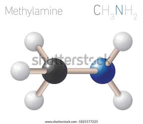 53 Methylamine Images, Stock Photos & Vectors | Shutterstock