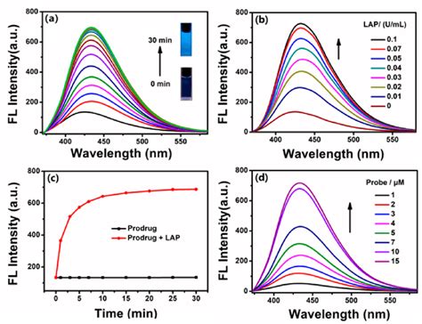 A Time Dependent Fluorescence Spectra Of Cpt P Leu 10 μm Upon