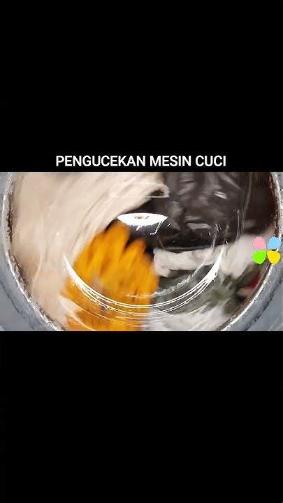 Pengucekan Mesin Cuci Shorts 175 Youtube