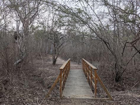 Guía Completa para Visitar La Reserva Ecológica Arenillas Viajar En