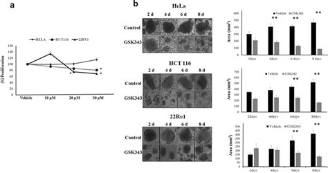 Ezh2 Methyltransferase Activity Inhibition By Gsk343 Reduces Cell