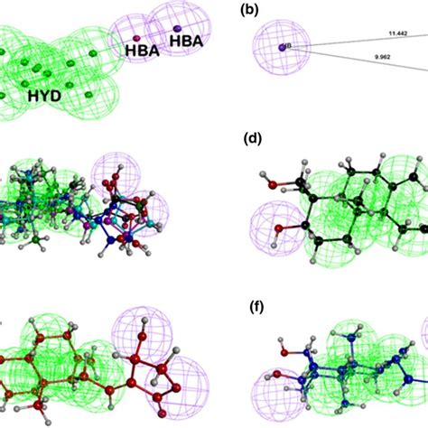 Pharmacophore Model Featuring HBA Hydrogen Bond Acceptor Purple