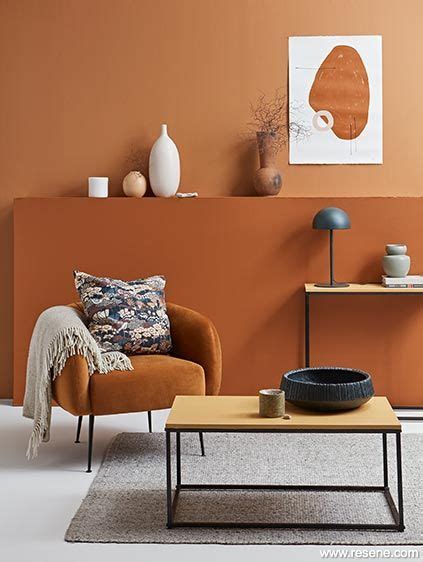 Terracotta Colour Trends Cosiness Optimism Energy Living Room Paint Paint Colors For