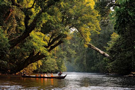 Taman Negara Day Tour From Kuala Lumpur With Lunch